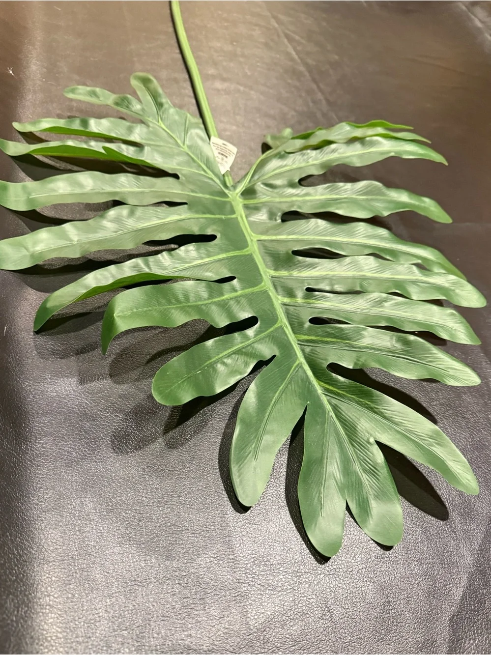 Threshold Green Philodendron Leaf Branch Stem NWT!